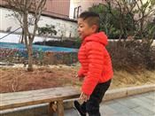 人气：435  上传时间：2019/12/11 16:40:46