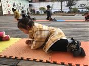 人气：432  上传时间：2019/12/12 14:07:43