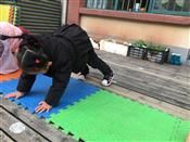 人气：391  上传时间：2019/12/12 14:07:51