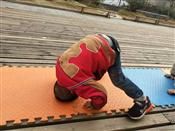 人气：436  上传时间：2019/12/12 14:07:56
