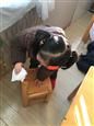 人气：445  上传时间：2019/12/12 14:14:40