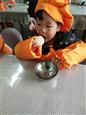 人气：453  上传时间：2019/12/13 14:23:54
