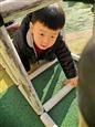 人气：562  上传时间：2019/12/13 16:25:44