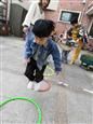 人气：567  上传时间：2019/12/13 16:36:43