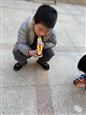 人气：228  上传时间：2019/12/13 16:38:10
