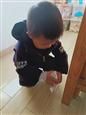 人气：492  上传时间：2019/12/13 7:50:14