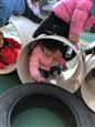 人气：531  上传时间：2019/12/13 7:57:37