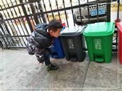 人气：488  上传时间：2019/12/13 12:21:25