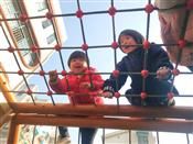人气：510  上传时间：2019/12/18 10:22:01