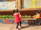 人气：501  上传时间：2019/12/18 10:30:32