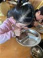 人气：220  上传时间：2019/12/19 16:45:01