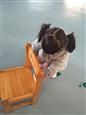 人气：453  上传时间：2019/12/20 15:15:47