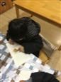 人气：473  上传时间：2019/12/20 15:27:40