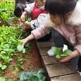 人气：478  上传时间：2019/12/20 15:29:31