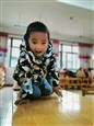 人气：463  上传时间：2019/12/20 7:42:41
