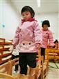 人气：503  上传时间：2019/12/20 7:42:43