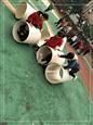 人气：454  上传时间：2019/12/27 15:10:32