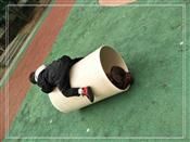 人气：467  上传时间：2019/12/27 15:10:36