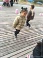 人气：447  上传时间：2019/12/27 15:11:47