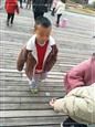 人气：452  上传时间：2019/12/27 15:11:50