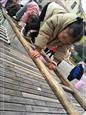 人气：447  上传时间：2019/12/27 15:11:54