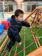 人气：486  上传时间：2019/12/27 15:27:08