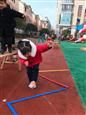 人气：468  上传时间：2019/12/27 17:07:40