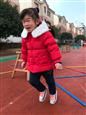 人气：488  上传时间：2019/12/27 17:07:42