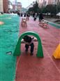人气：486  上传时间：2019/12/27 17:07:55