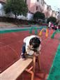 人气：489  上传时间：2019/12/27 17:07:57