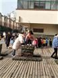 人气：453  上传时间：2019/12/27 17:13:43
