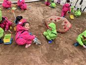 人气：243  上传时间：2019/12/31 16:54:27