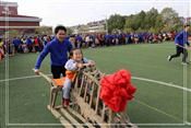 人气：456  上传时间：2020/1/1 13:38:48