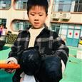 人气：507  上传时间：2020/1/7 16:14:07