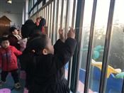 人气：421  上传时间：2020/1/10 13:46:22
