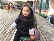 人气：388  上传时间：2020/1/10 13:48:04