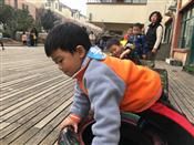 人气：385  上传时间：2020/1/10 13:48:05