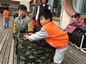 人气：384  上传时间：2020/1/10 13:48:07