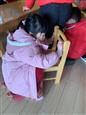 人气：198  上传时间：2020/1/15 12:38:14