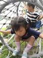 人气：517  上传时间：2020/5/13 15:26:09