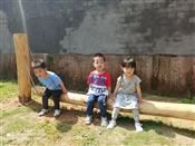 人气：466  上传时间：2020/5/14 16:23:29