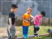 人气：484  上传时间：2020/5/14 9:59:23