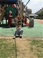 人气：463  上传时间：2020/5/20 16:11:09