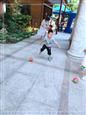 人气：487  上传时间：2020/5/22 15:46:35
