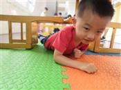 人气：382  上传时间：2020/5/22 12:21:41