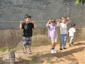 人气：466  上传时间：2020/5/26 16:23:16