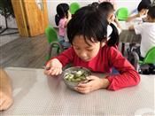 人气：382  上传时间：2020/5/28 14:51:58