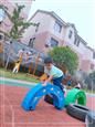 人气：486  上传时间：2020/5/29 14:25:16