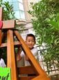 人气：171  上传时间：2020/6/10 16:16:38