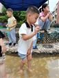 人气：427  上传时间：2020/6/11 16:35:32